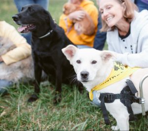 AHeinz57 Pet Rescue Capital Campaign Staff with their Dogs