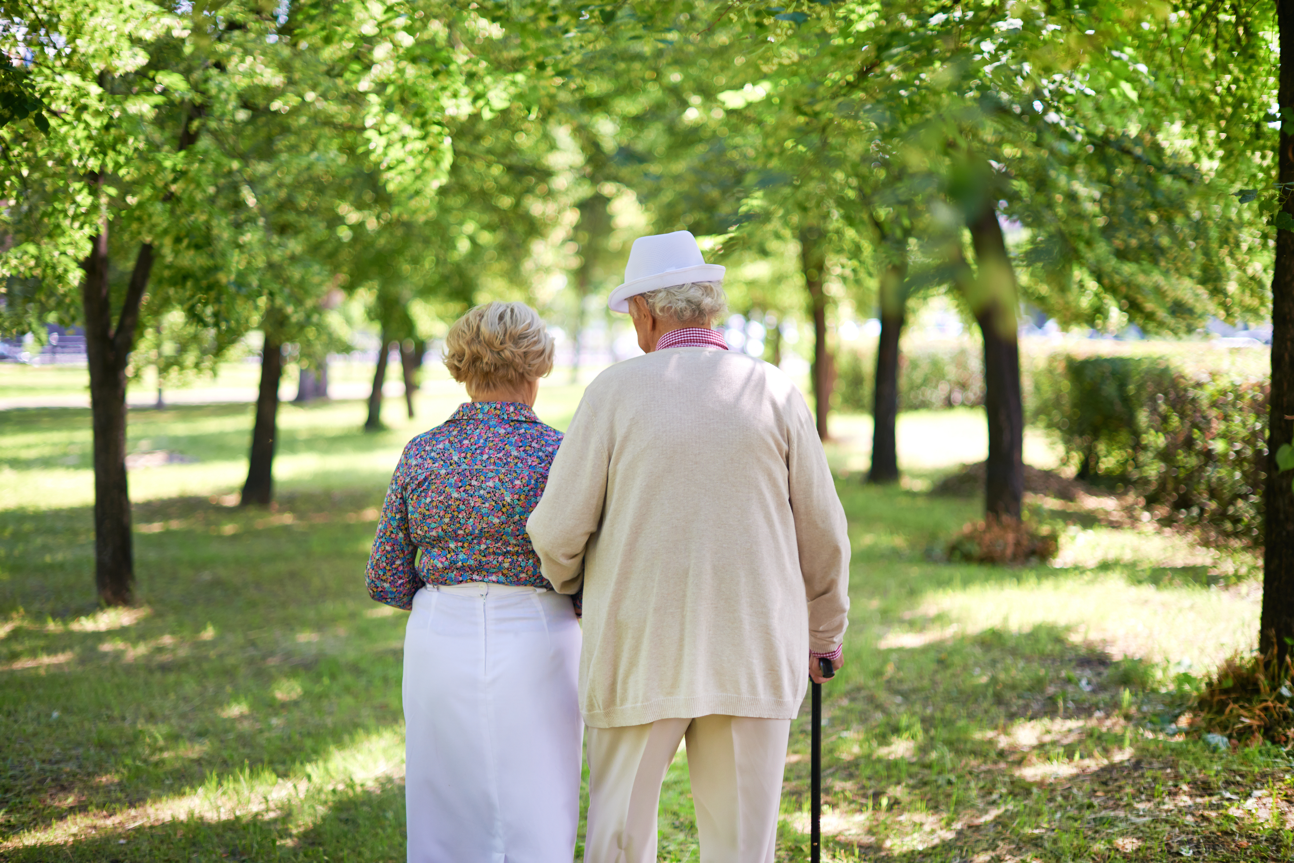 Озеро пожилых людей. Пожилые люди в парке. Прогулка пожилых. Пенсионеры на прогулке. Пенсионеры в парке.
